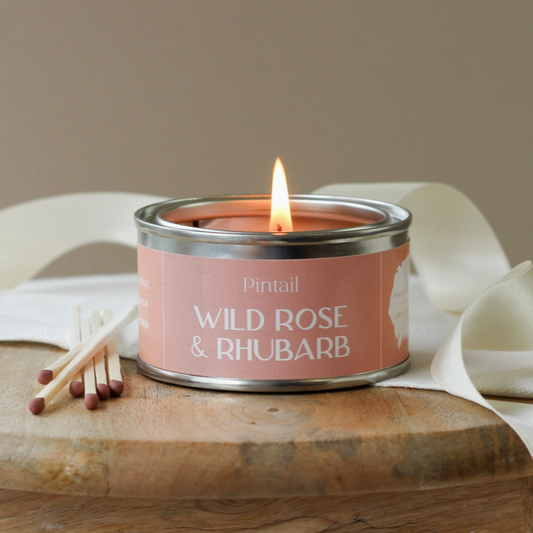 Wild Rose and Rhubarb Paint Pot Candle